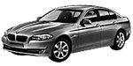 BMW F10 P105C Fault Code